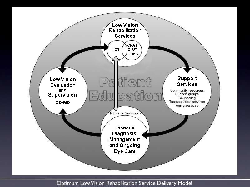 low vision services delivery model diagram