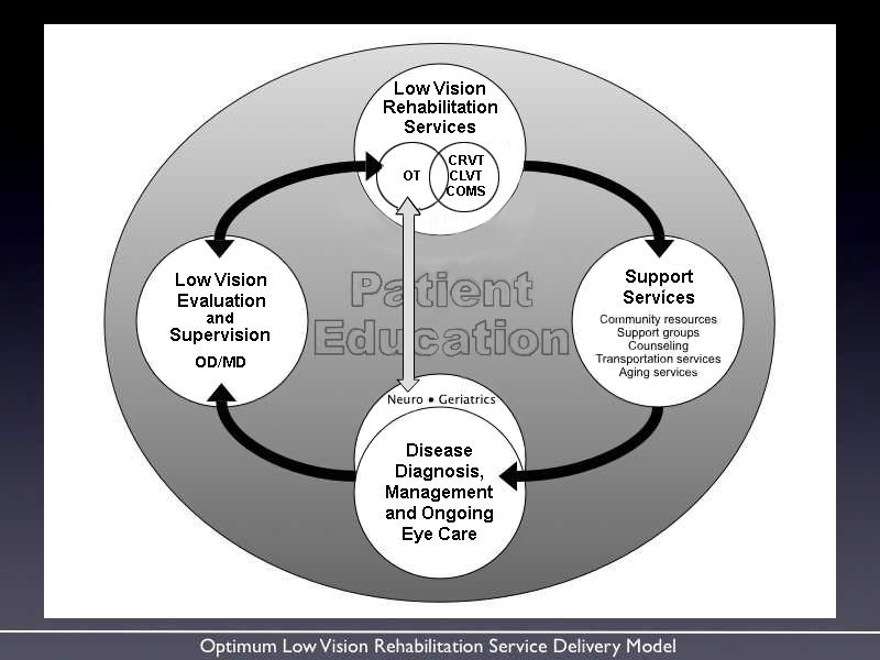 The Low Vision Rehabilitation Delivery Model