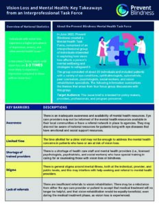 Vision Loss and Mental Health: Key Takeaways from an Interprofessional Task Force